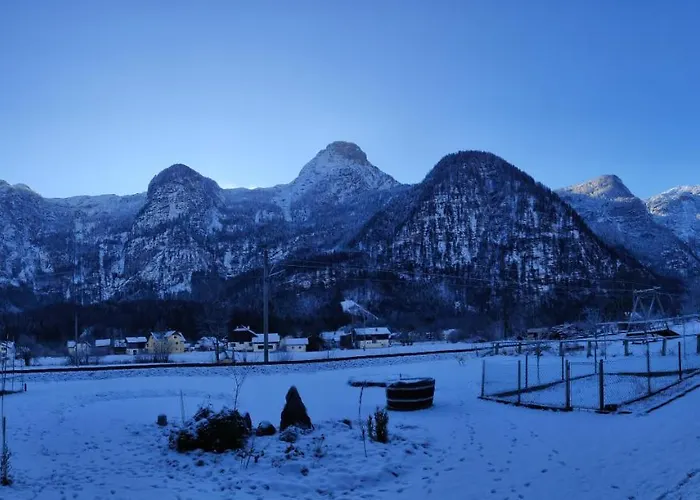 Διαμέρισμα Stricker *