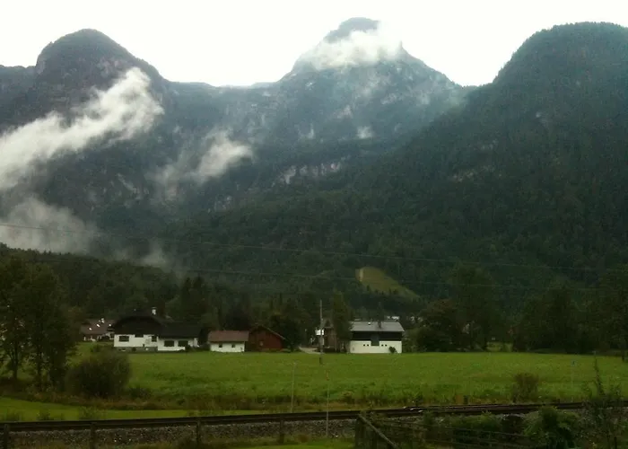 Stricker Daire Obertraun