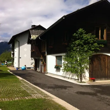 Stricker Obertraun